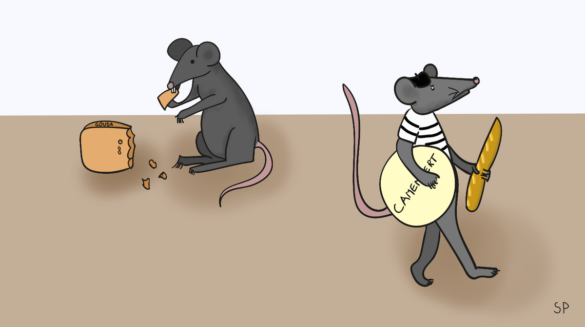The mice only eat Dutch cheese